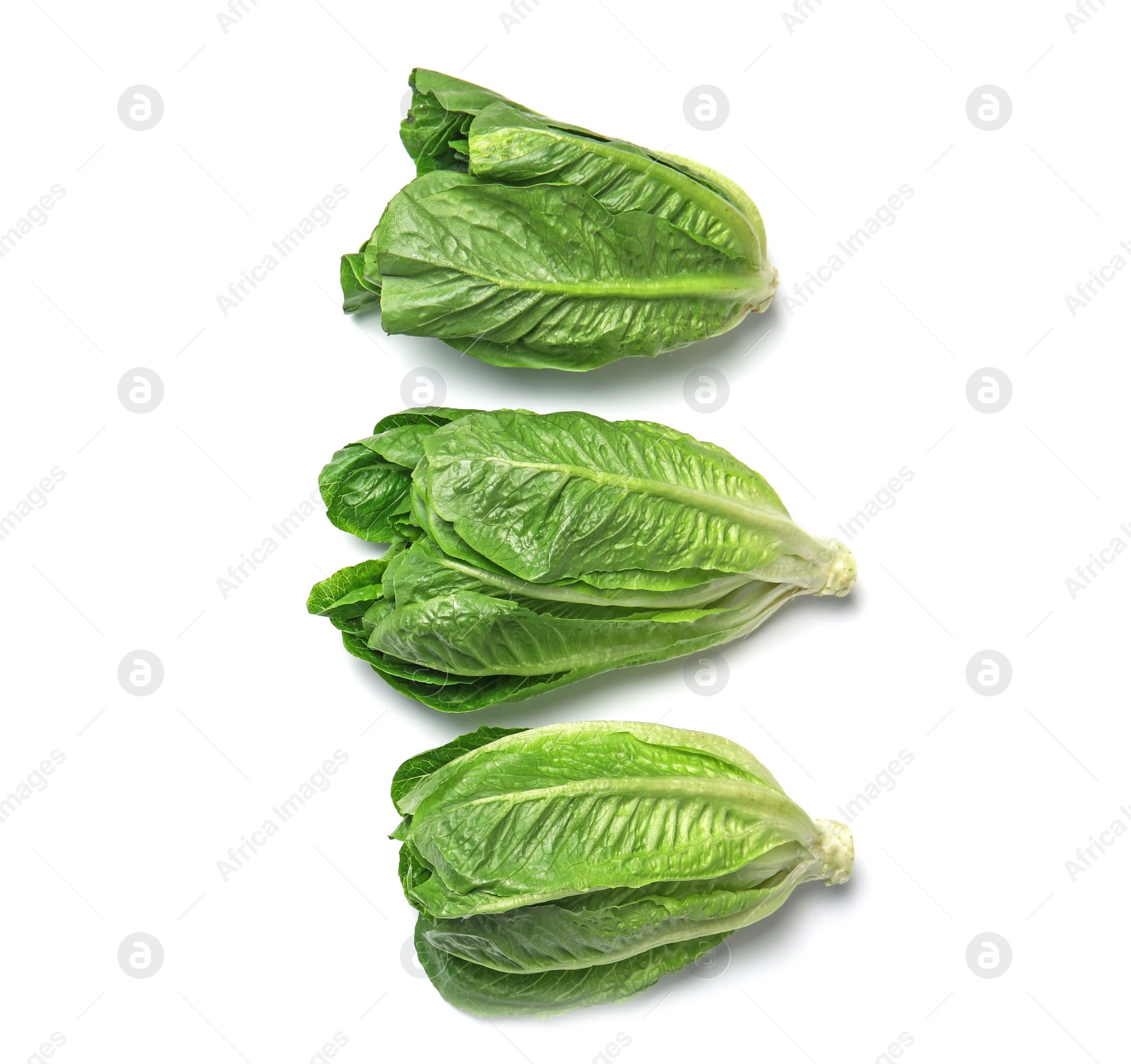 Photo of Fresh ripe cos lettuce on white background