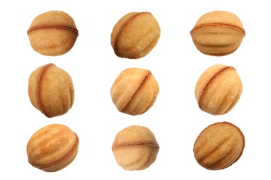 Image of Set of delicious nut shaped cookies with caramelized condensed milk isolated on white