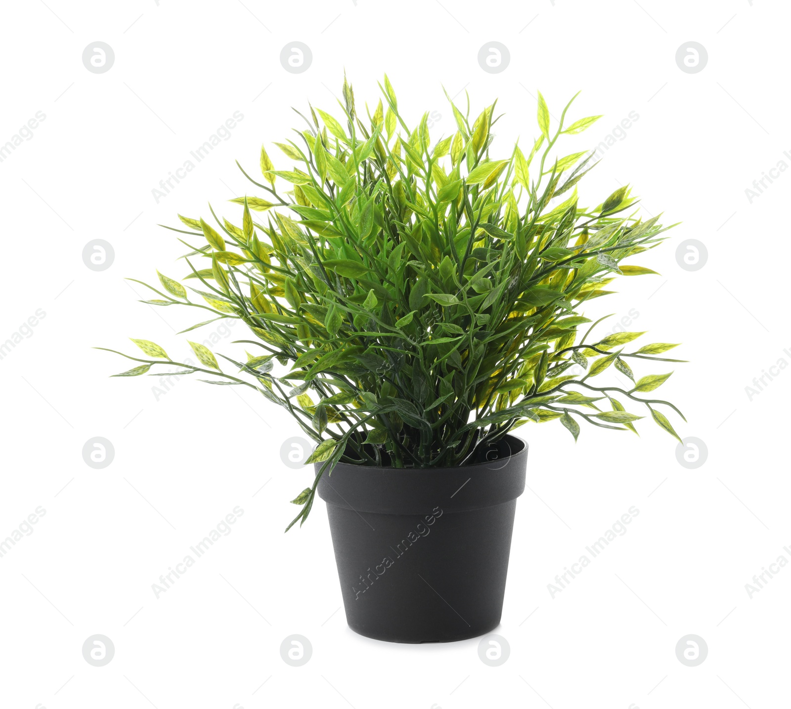Photo of Beautiful artificial plant in flower pot isolated on white