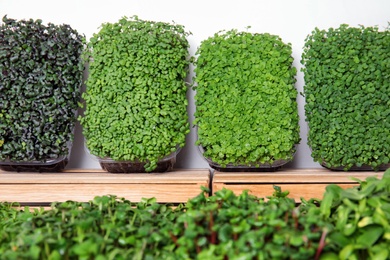 Photo of Fresh organic microgreens assortment near wooden crate, closeup