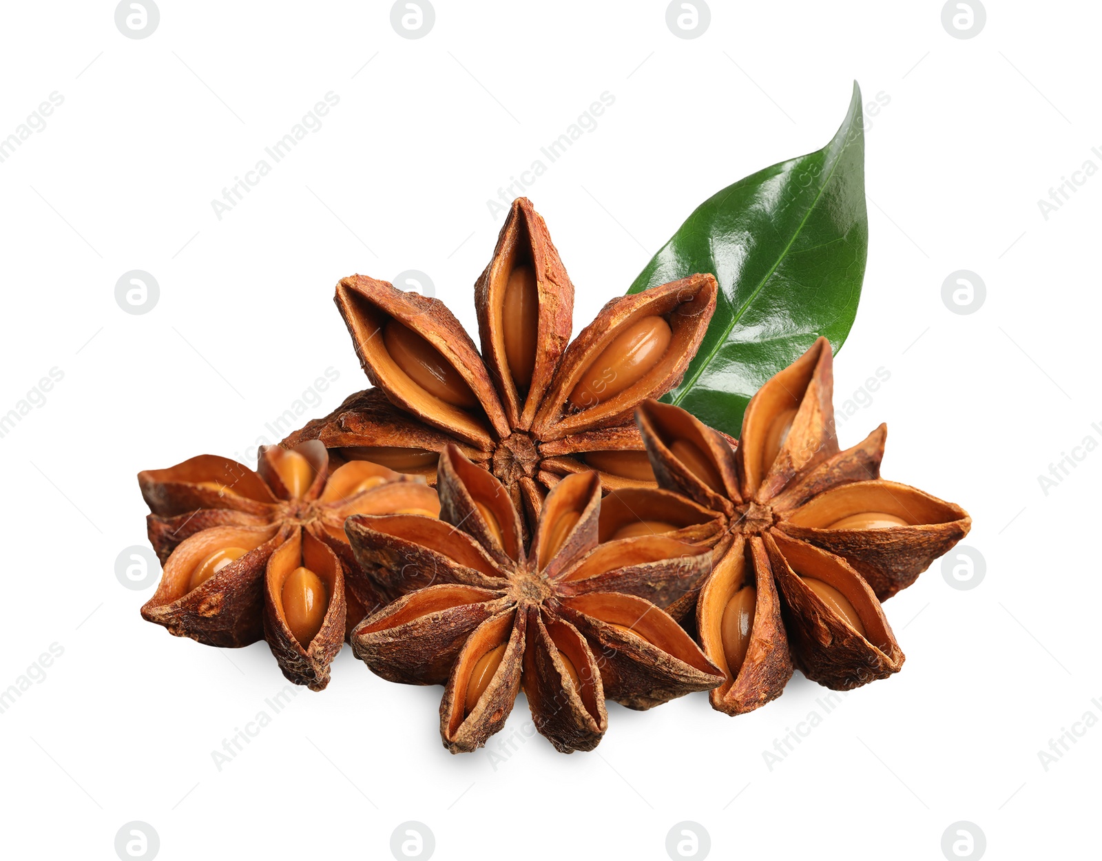 Image of Aromatic dry anise stars and green leaves on white background