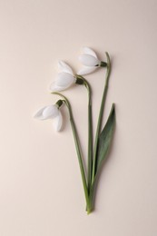 Photo of Beautiful snowdrops on beige background, flat lay