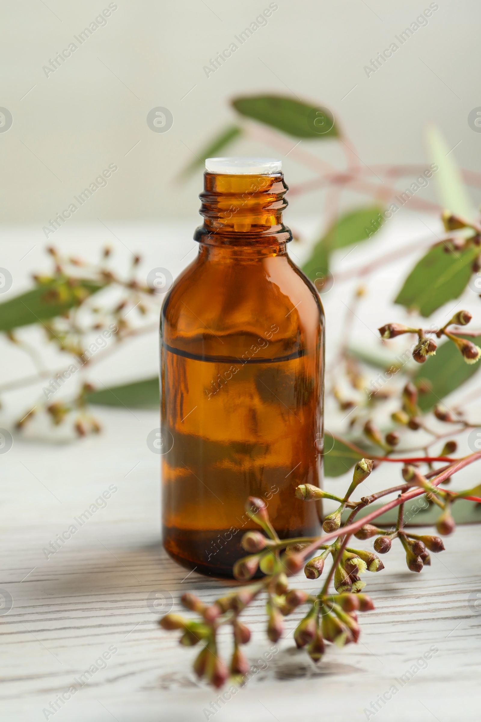 Photo of Bottle of eucalyptus essential oil and leaves on white wooden table