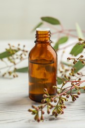 Photo of Bottle of eucalyptus essential oil and leaves on white wooden table