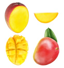 Image of Set with delicious ripe mangos on white background