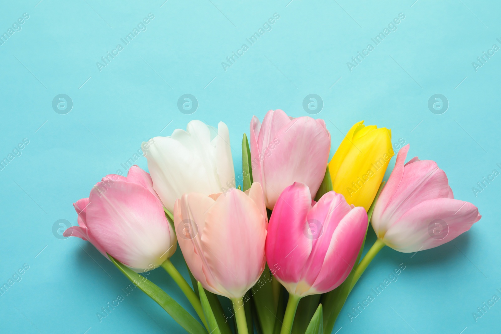 Photo of Spring tulips on color background, top view. International Women's Day