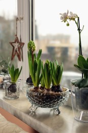 Photo of Spring is coming. Beautiful bulbous plants on windowsill indoors