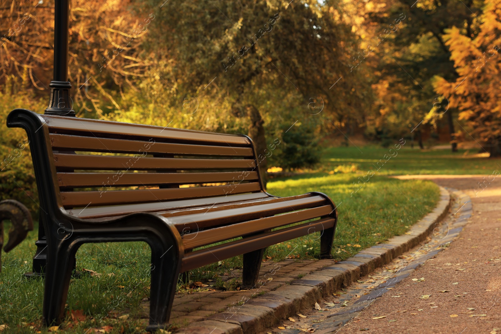 Photo of Wooden bench and yellowed trees in park on sunny day