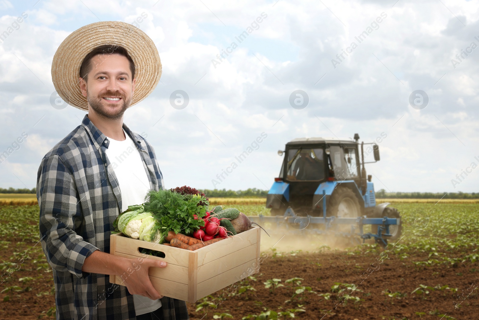 Image of Harvesting season. Farmer holding wooden crate with crop in field