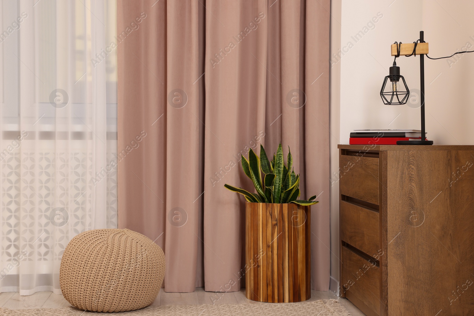 Photo of Stylish room interior with chest of drawers, houseplant and curtains