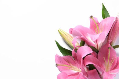 Photo of Beautiful pink lily flowers on white background, top view. Space for text