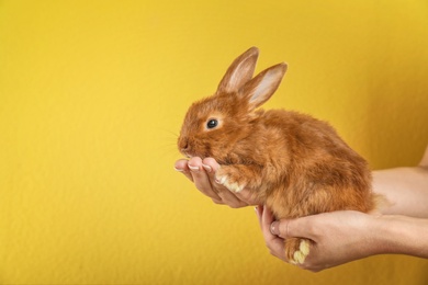 Photo of Woman holding adorable rabbit on color background