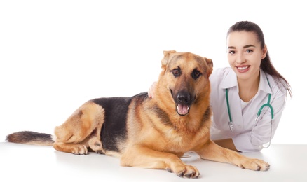 Photo of Veterinarian doc with dog on white background