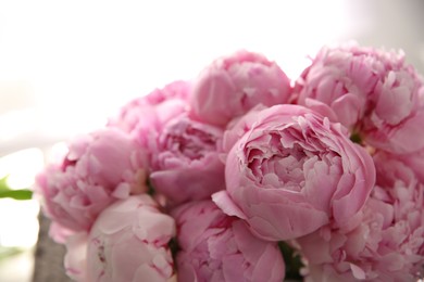 Photo of Closeup view of beautiful fresh pink peonies