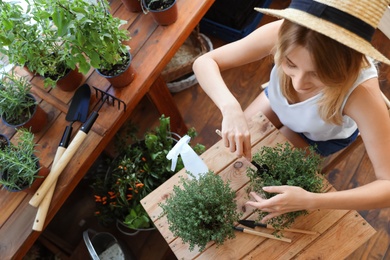Photo of Young woman taking care of home plants at wooden table in shop, above view