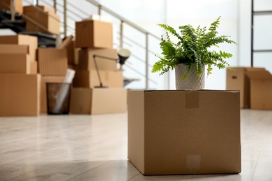 Photo of Cardboard box with houseplant in new office, space for text. Moving day