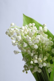 Beautiful lily of the valley flowers with leaves on light grey background, closeup