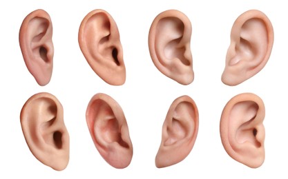 Image of Human ears on white background, collage. Organhearing and balance