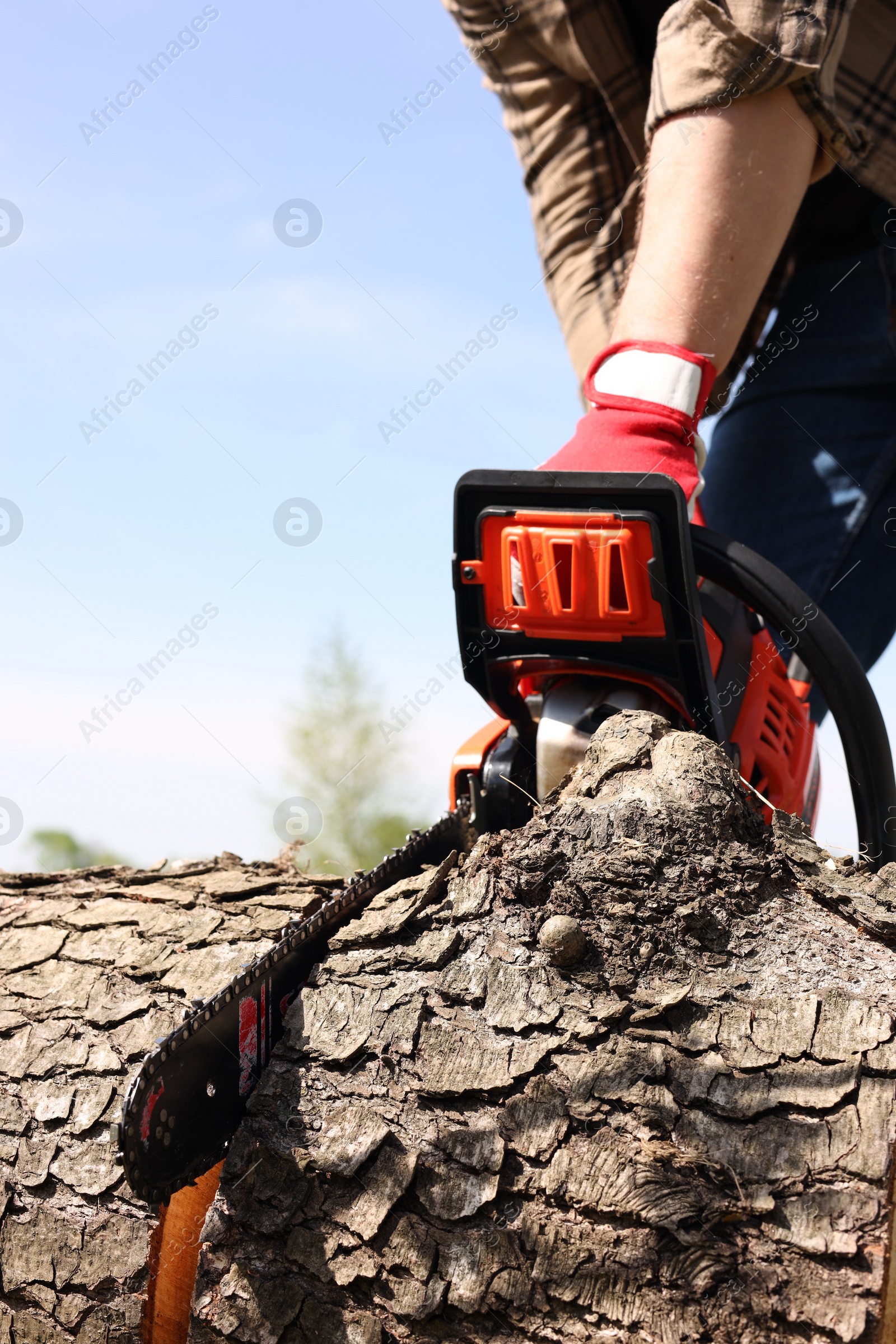 Photo of Man sawing wooden log outdoors, closeup view