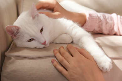 Young woman with her beautiful white cat at home, closeup. Fluffy pet
