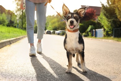 Photo of Woman walking her cute dog on city street, closeup