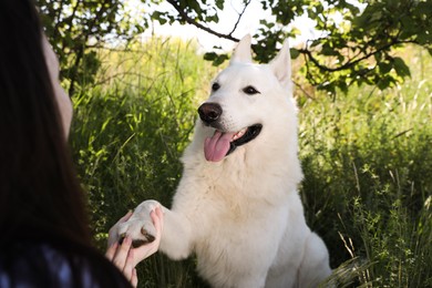 Photo of Young woman with her white Swiss Shepherd dog in park, closeup