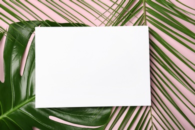 Flat lay composition with tropical leaves on color background