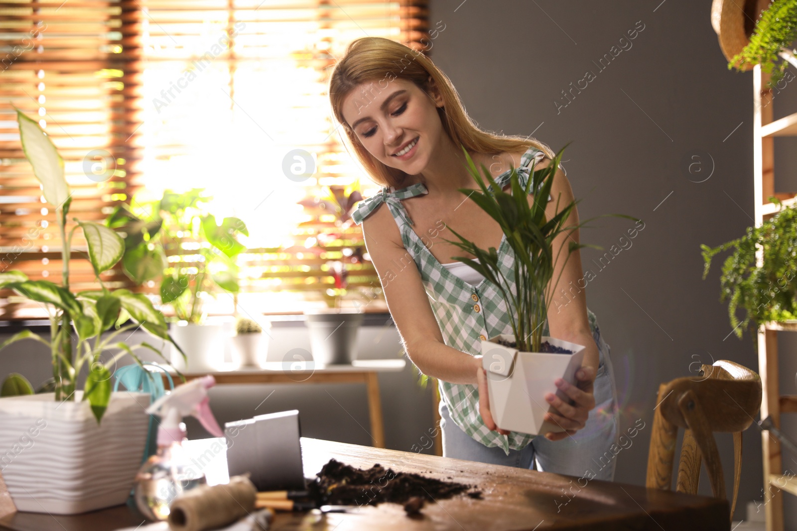 Photo of Young woman with beautiful plant at home. Engaging hobby