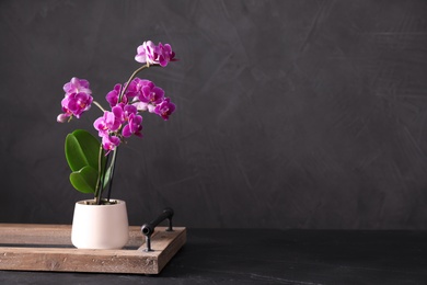 Photo of Flowerpot with blooming orchid on black stone table against dark background, space for text