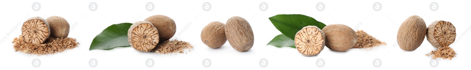 Image of Set with nutmeg seeds on white background. Banner design