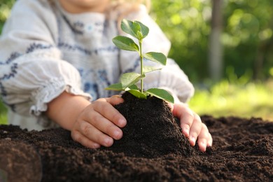 Photo of Cute baby girl planting tree outdoors, closeup