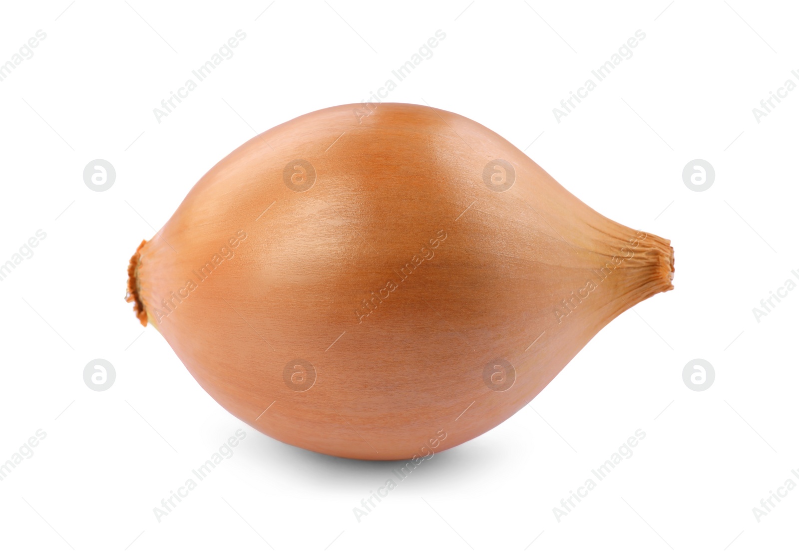 Photo of One yellow fresh onion isolated on white