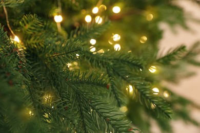 Beautiful Christmas tree with glowing fairy lights, closeup