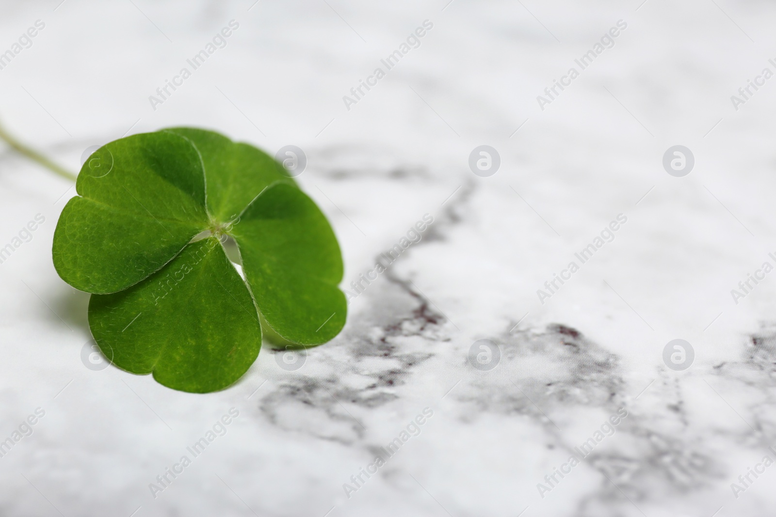 Photo of Beautiful green four leaf clover on white marble table, closeup. Space for text