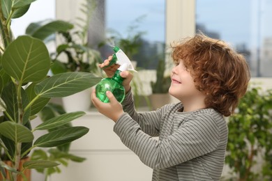 Cute little boy spraying beautiful green plant at home. House decor