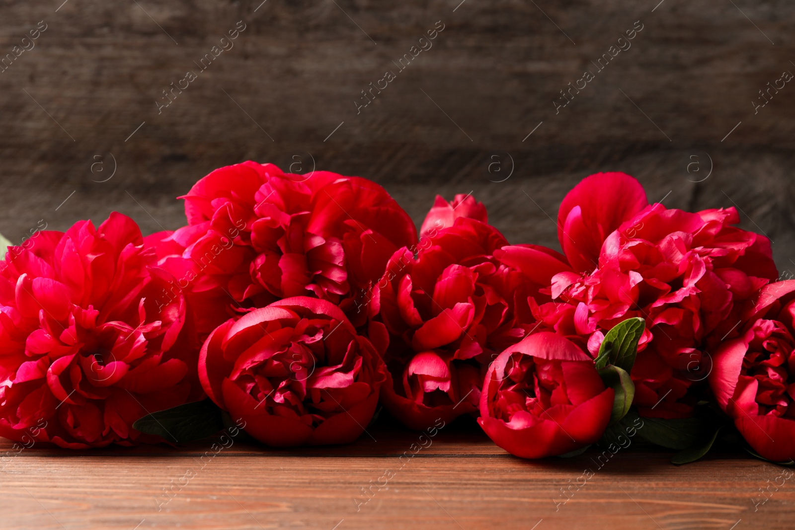 Photo of Beautiful blooming peony flowers on wooden table