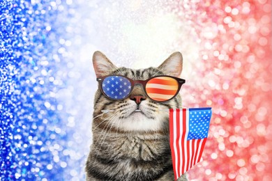 Image of 4th of July - Independence Day of USA. Cute cat with sunglasses and American flag on shiny festive background