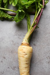 Fresh ripe parsnip on grey table, top view