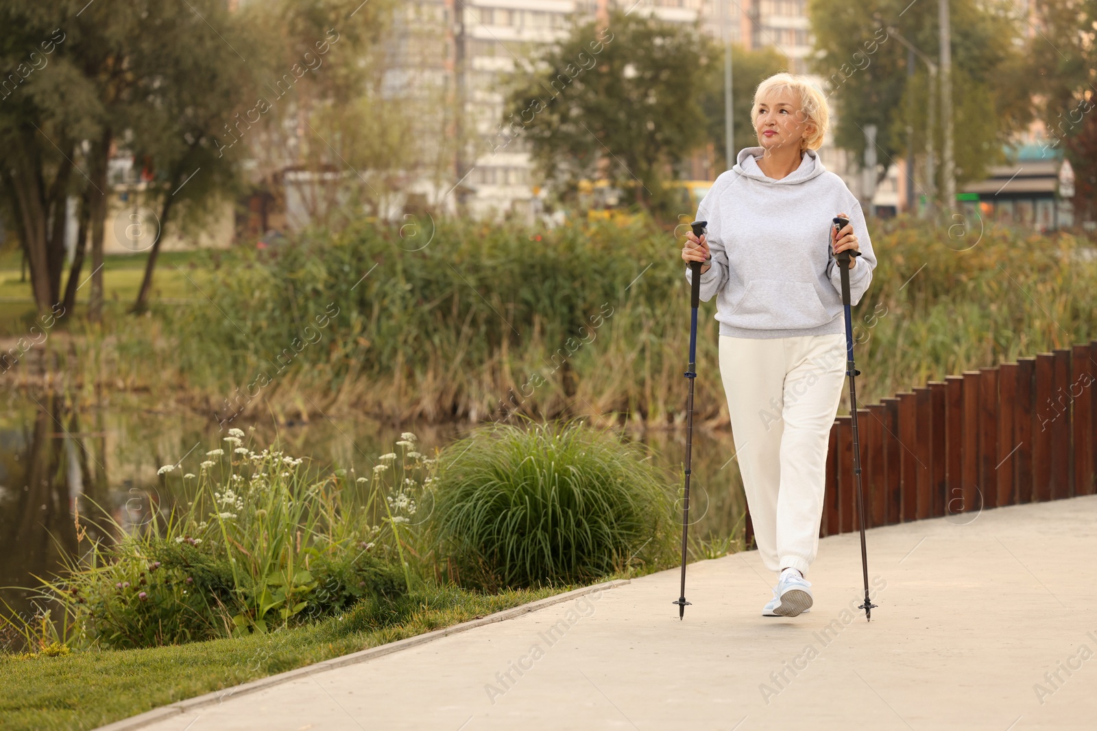 Photo of Senior woman performing Nordic walking outdoors, space for text