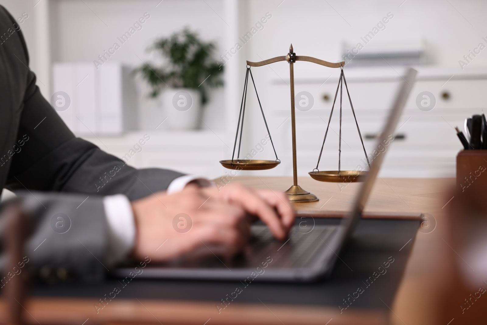 Photo of Notary working with laptop at wooden table in office, closeup