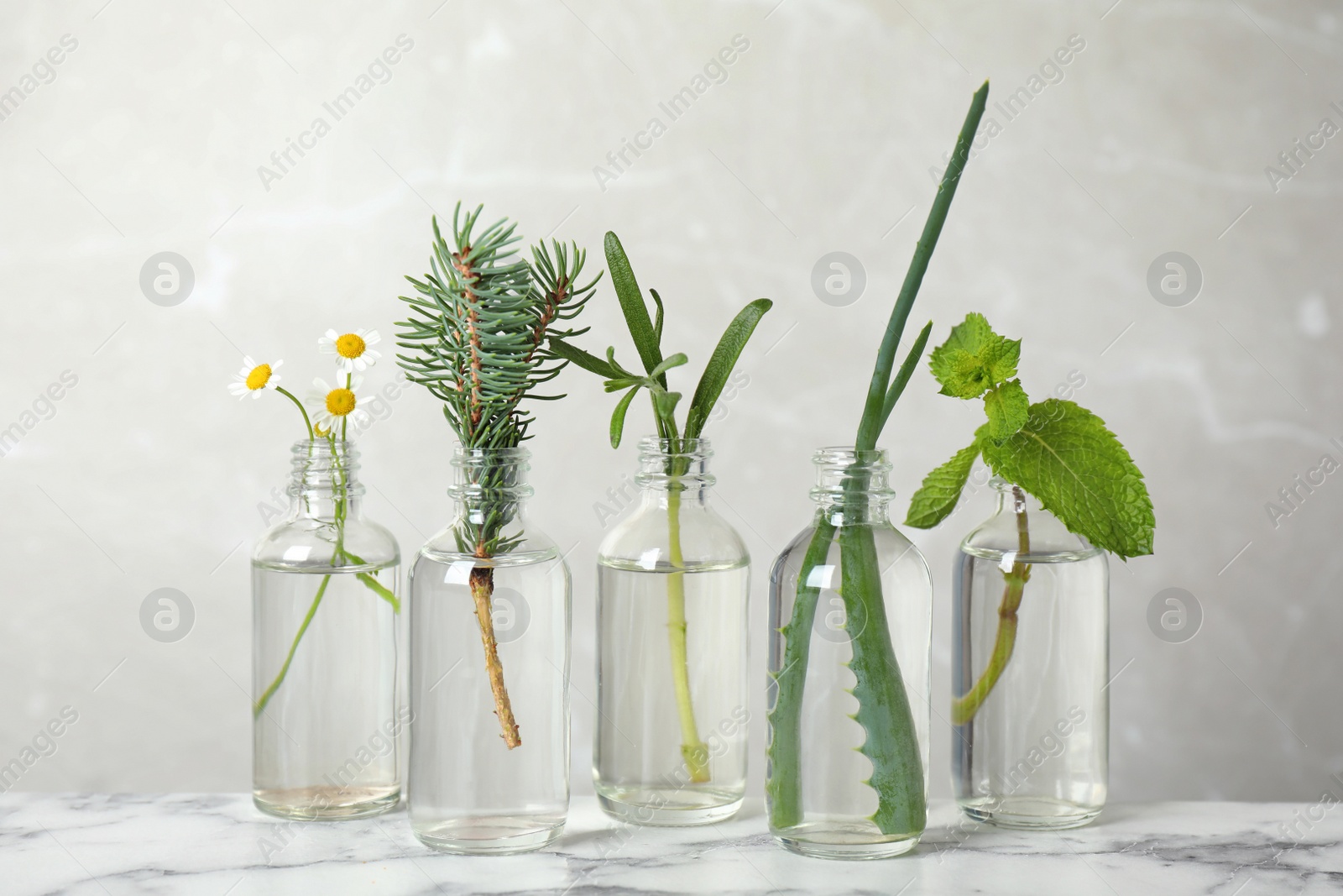 Photo of Glass bottles of different essential oils with plants on table