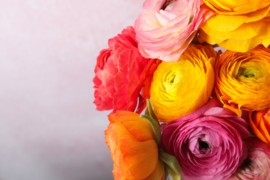 Photo of Beautiful fresh ranunculus flowers on color background, closeup