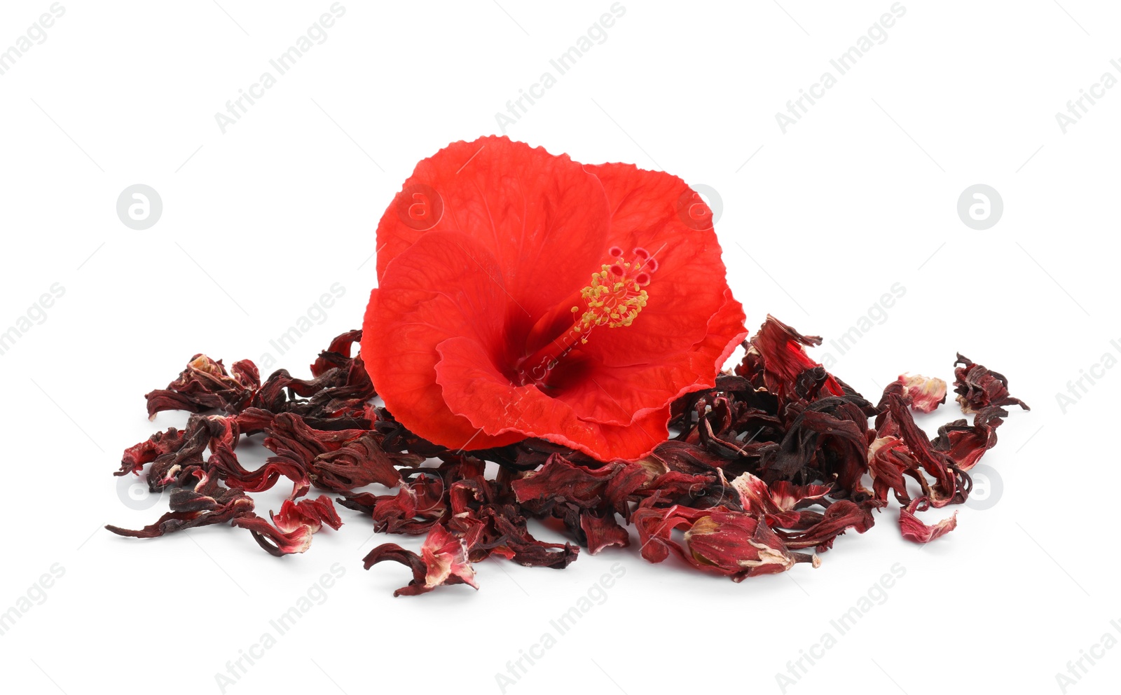 Photo of Pile of dry hibiscus tea and beautiful flower isolated on white