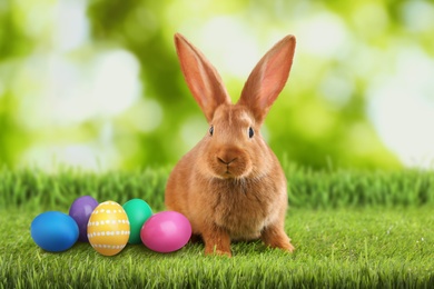 Image of Cute bunny and colorful Easter eggs on green grass outdoors