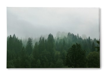 Photo printed on canvas, white background. Picturesque view of mountain forest in foggy morning