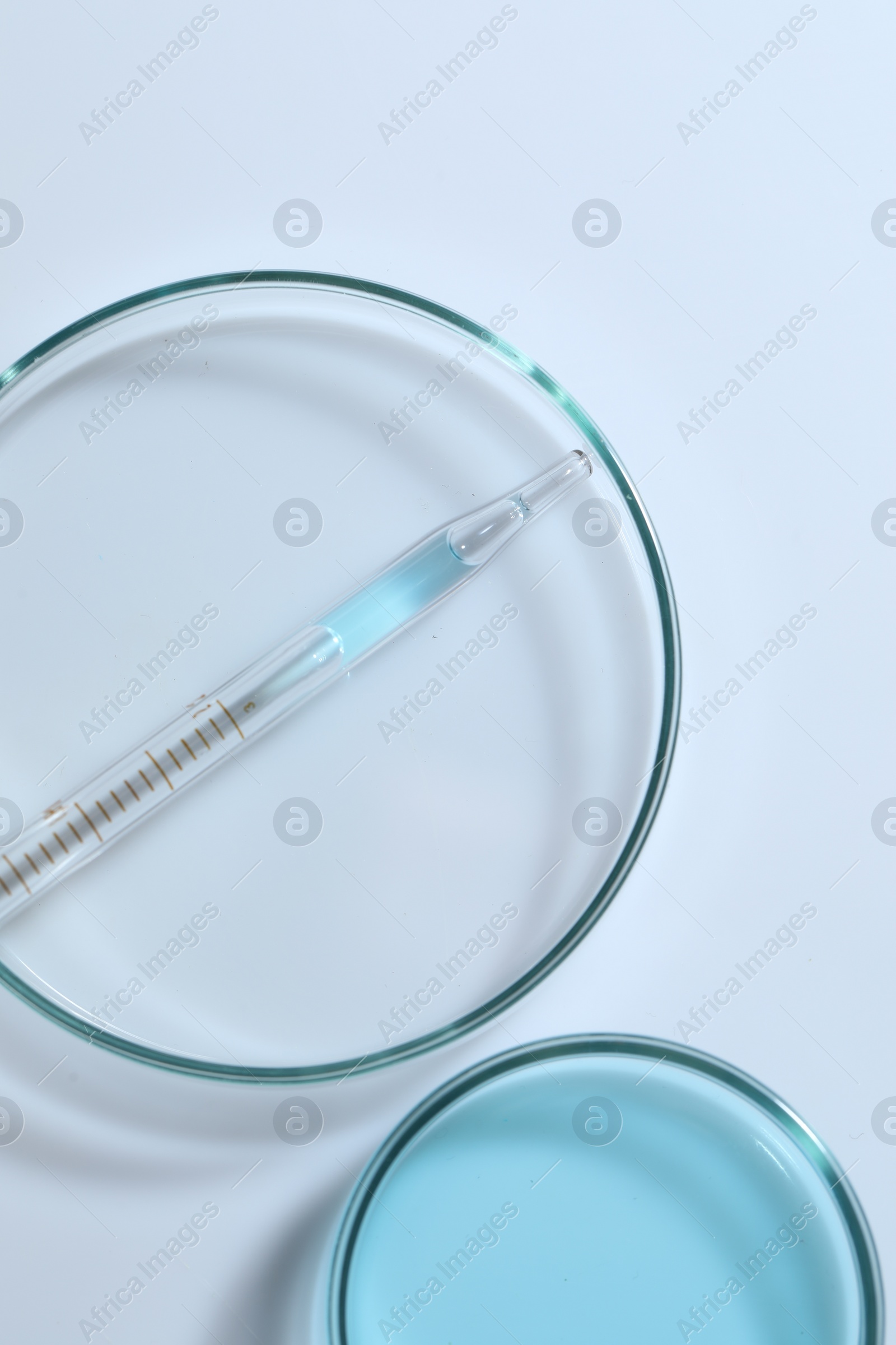 Photo of Pipette and petri dishes with liquid on white table, flat lay