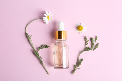 Bottle of essential oil and fresh chamomiles on pink background, flat lay