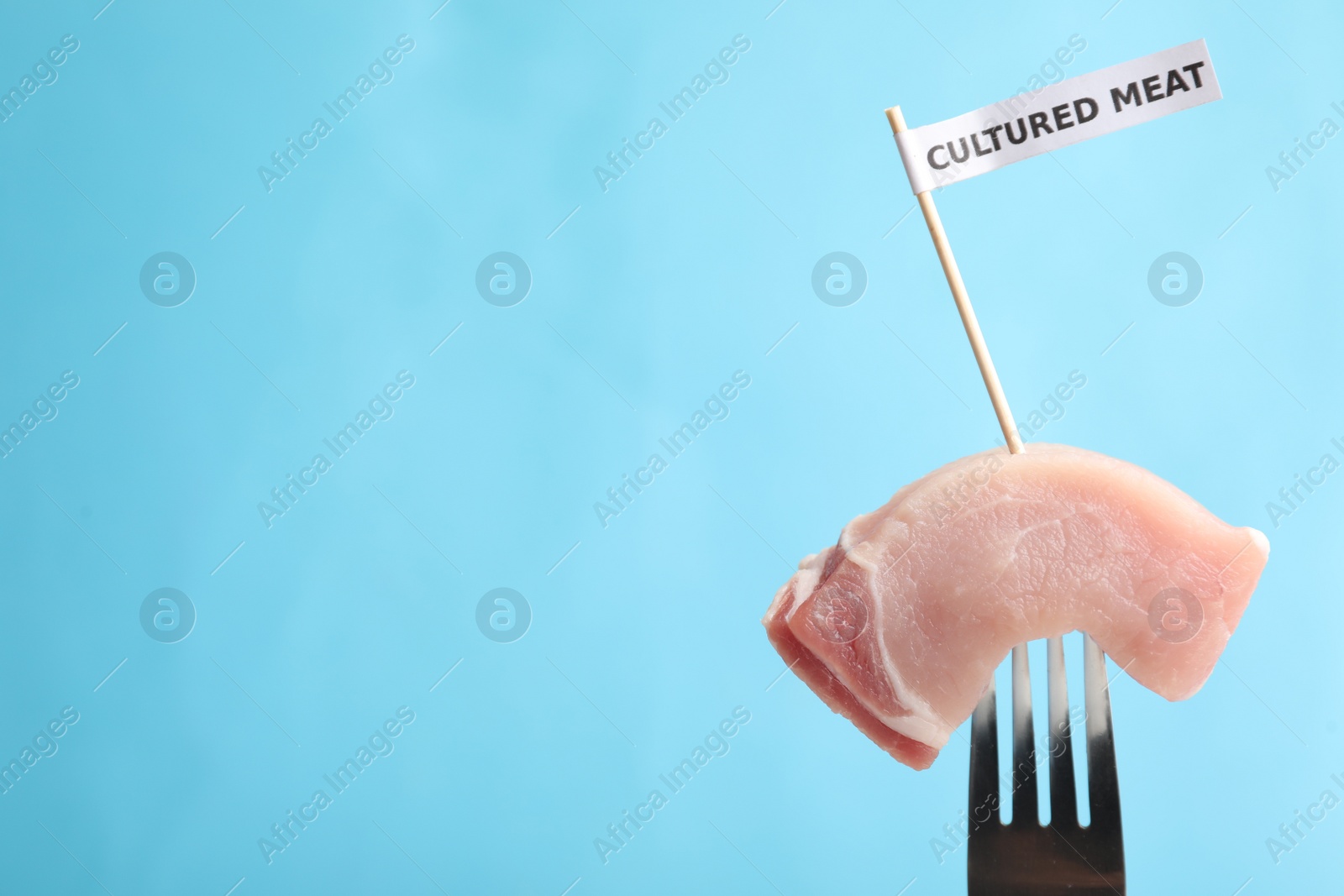 Photo of Sample of lab grown pork labeled Cultured Meat on fork against light blue background. Space for text
