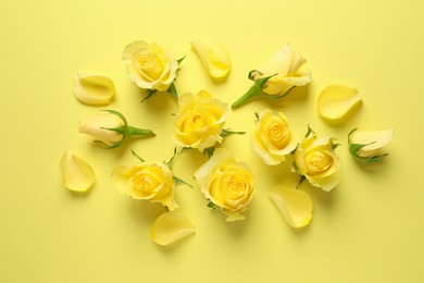 Beautiful roses and petals on yellow background, flat lay