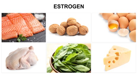 Image of Different foods rich in estrogen that can help you stay feminine. Different tasty products on white background